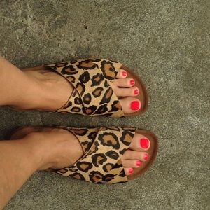 Sam Edelman | Shoes | Sam Edelman Adora Leopard Print Calf Hair Slip On  Sandal | Poshmark
